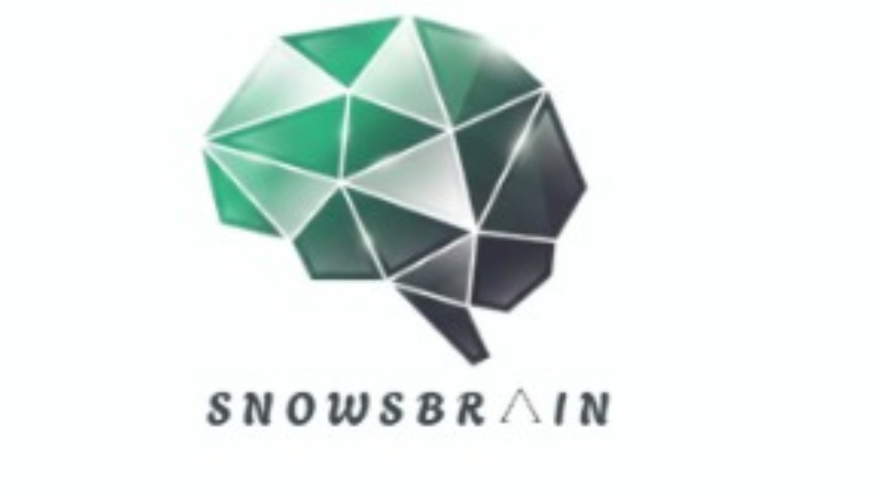 Snows Brain